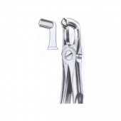 Extarcting Forceps 